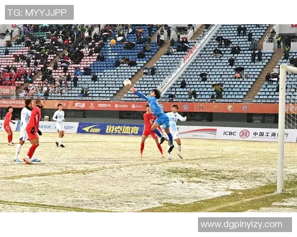 足球明星在赛场上激动瞬间的精彩瞬间定格与情感释放的完美结合